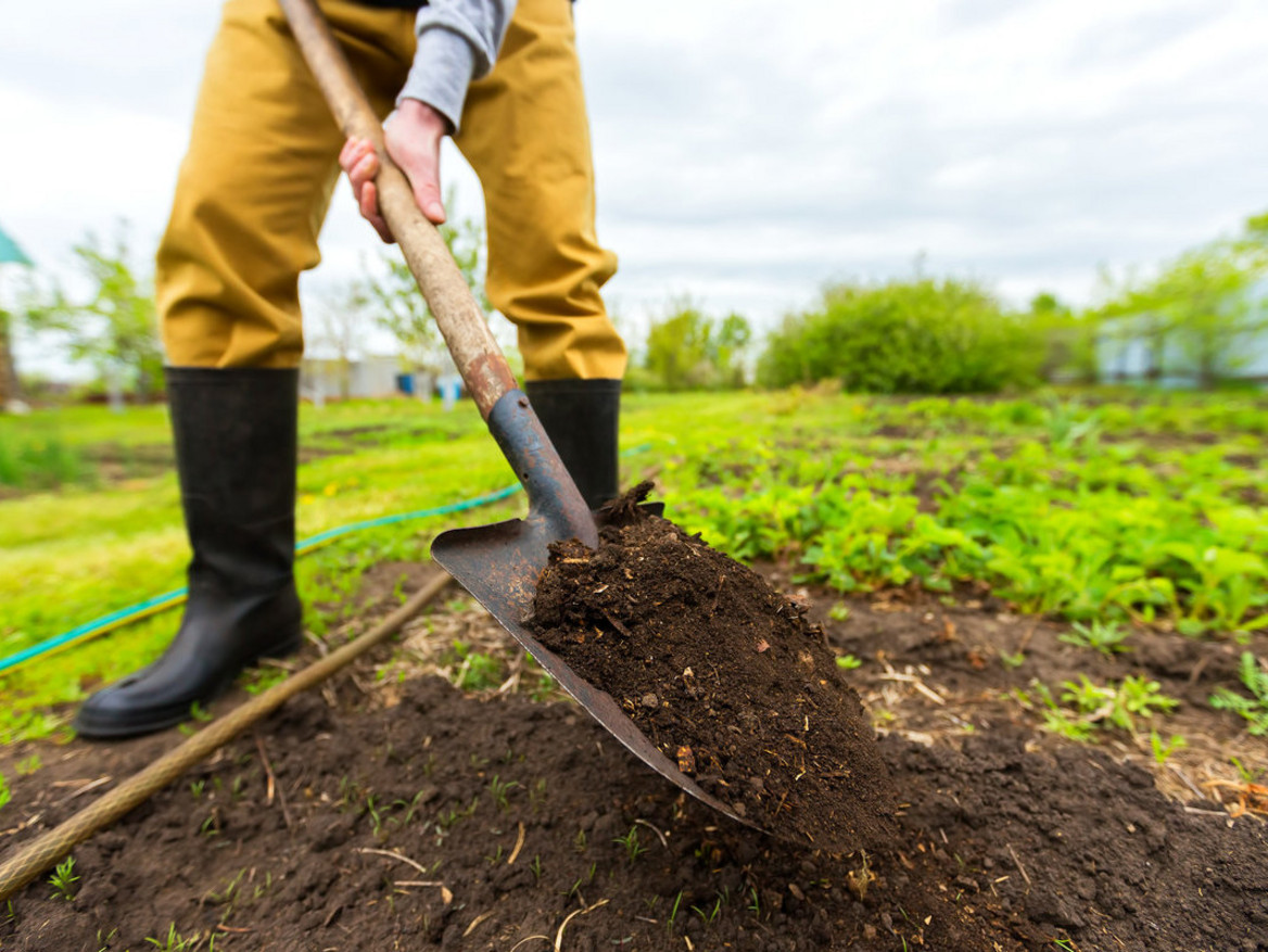 Die wichtigsten Gartenarbeiten im Frühjahr